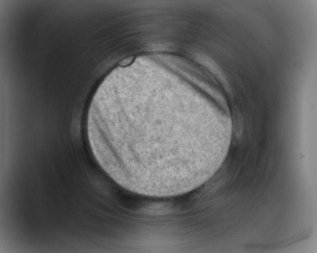 X0000088450155200706191317