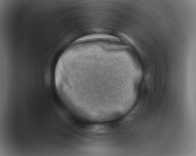 X0000088450158200706191317