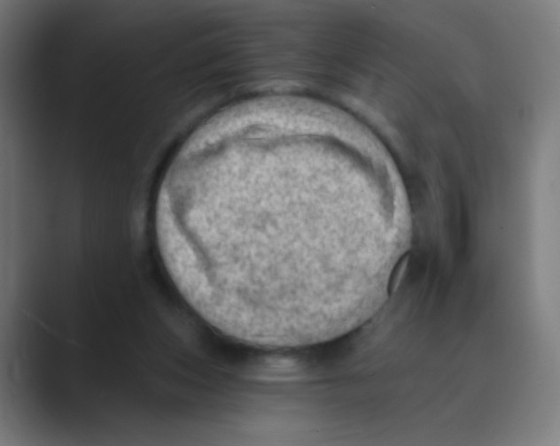 X0000088450159200706191317
