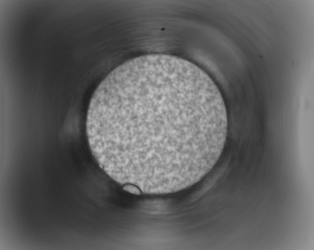 X0000088450161200706191317