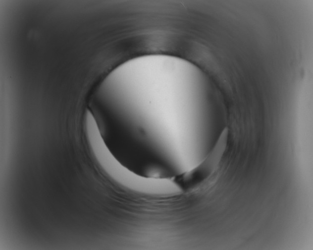 X0000088450164200706191317