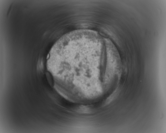 X0000088450166200706191317