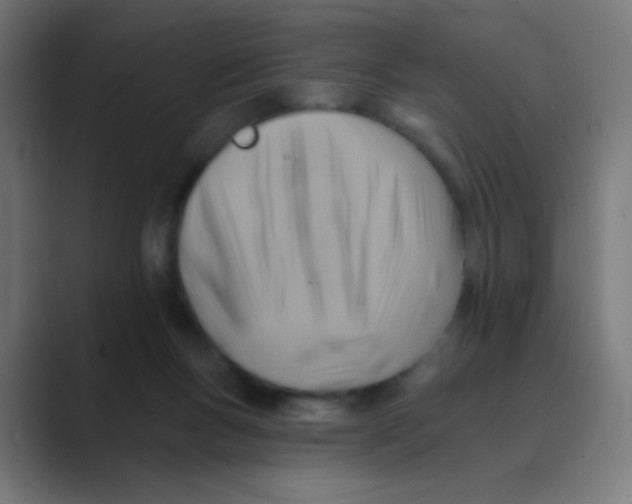 X0000088450167200706191317