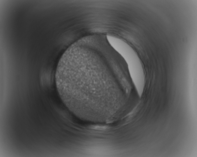 X0000088450168200706191317