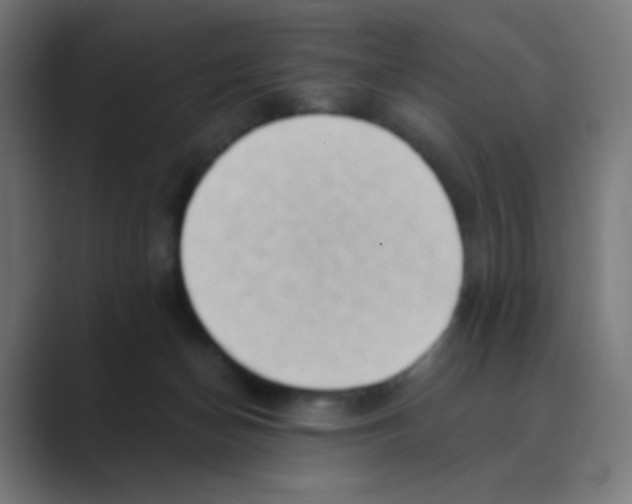 X0000088450174200706191317
