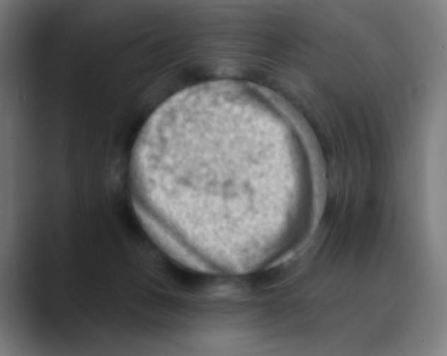 X0000088450175200706191317