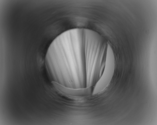 X0000088450176200706191317