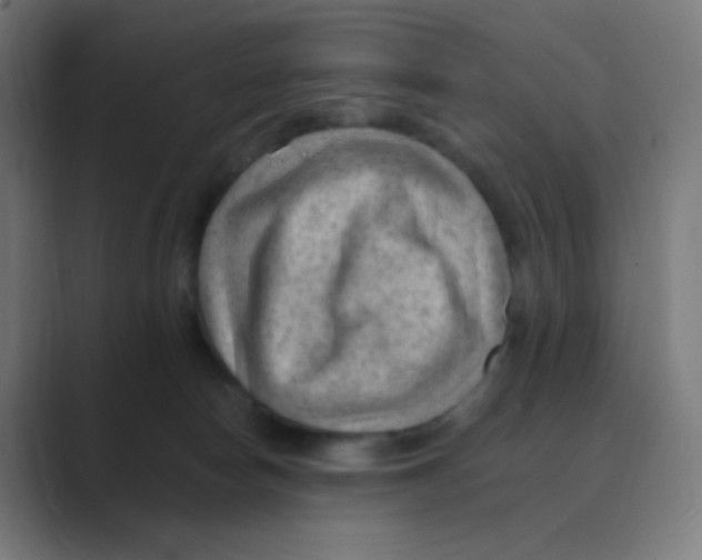 X0000088450178200706191317