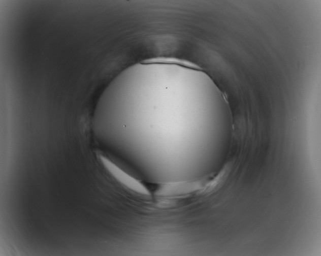 X0000088450184200706191318