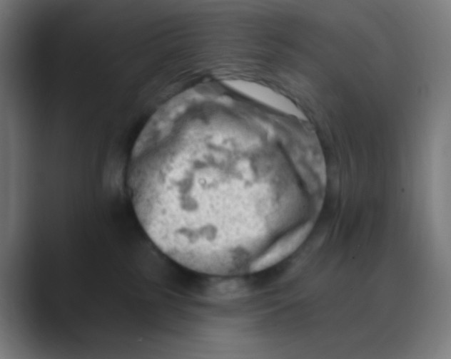 X0000088450185200706191318
