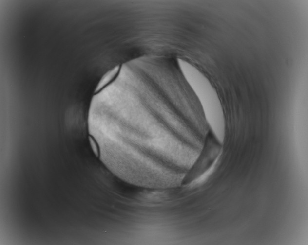 X0000088450186200706191318