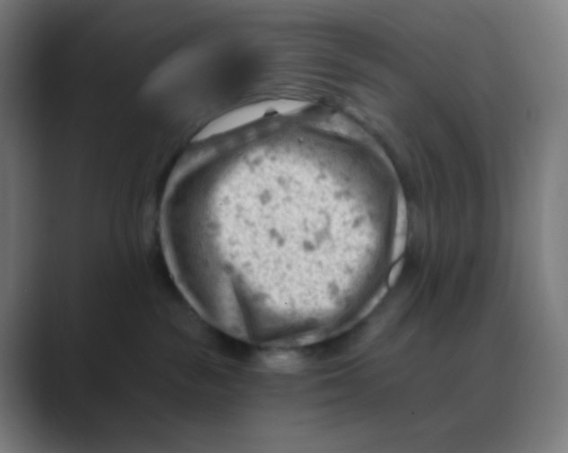 X0000088450189200706191318