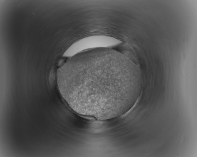 X0000088450192200706191318
