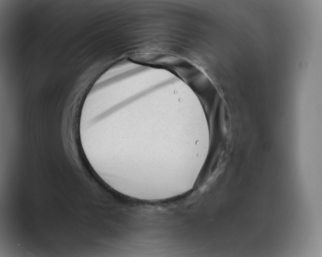 X0000088450193200706191317