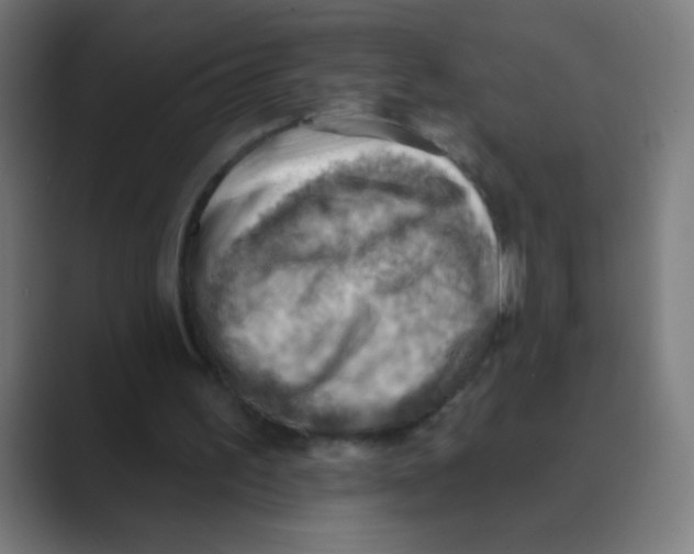 X0000088450195200706191317