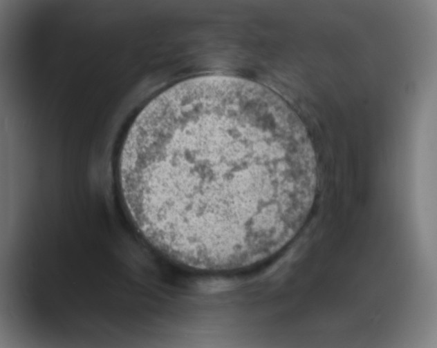 X0000088450198200706191317