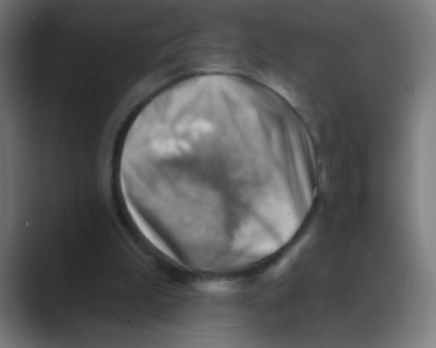 X0000088450199200706191317