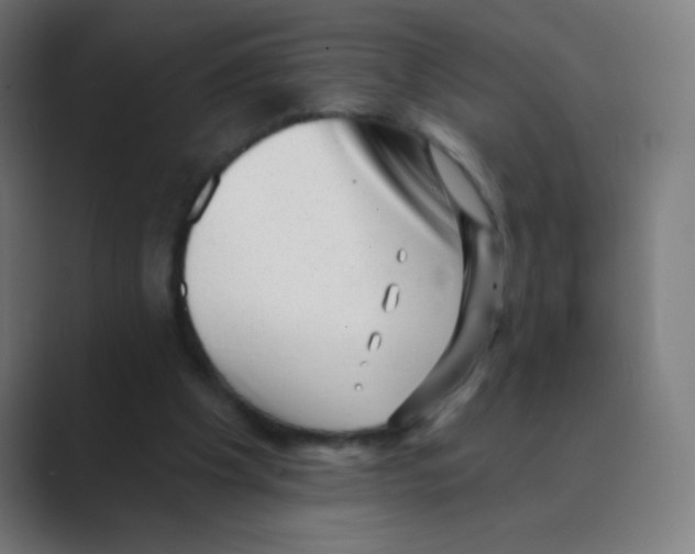 X0000088450201200706191317