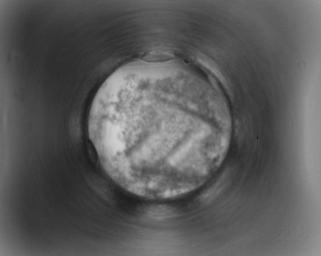 X0000088450203200706191317
