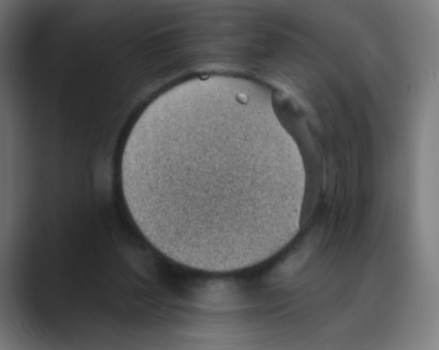 X0000088450204200706191317