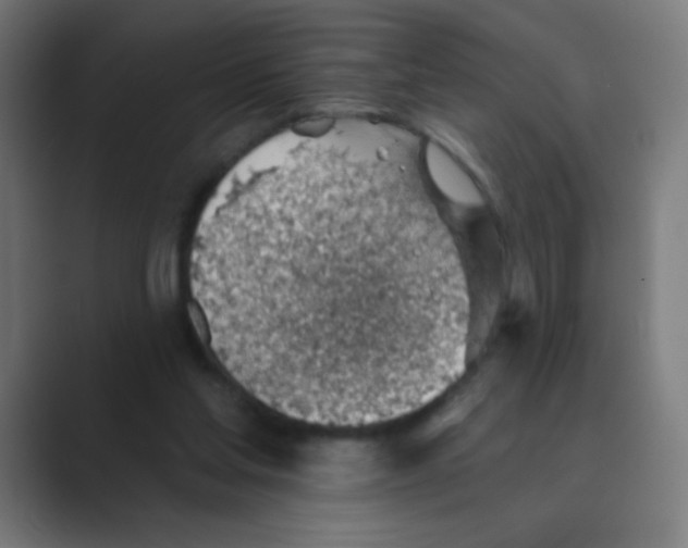 X0000088450205200706191317