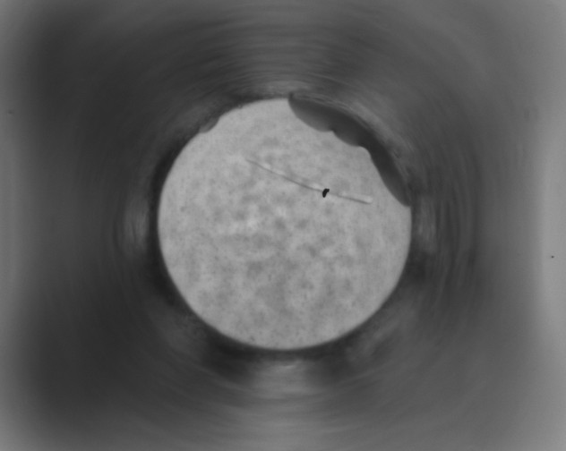 X0000088450206200706191317