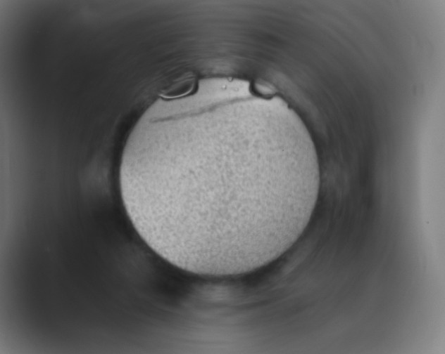 X0000088450209200706191317
