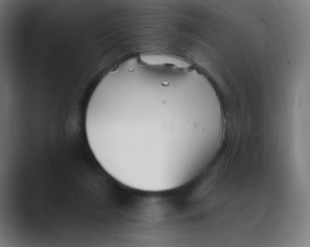 X0000088450212200706191317