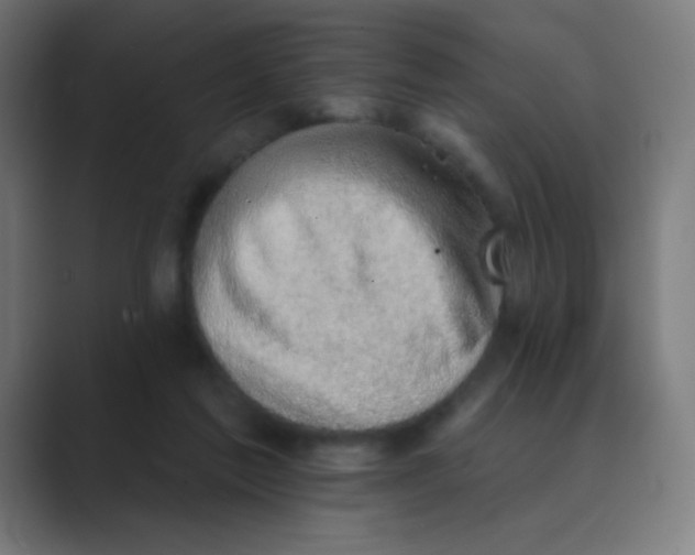 X0000088450213200706191317