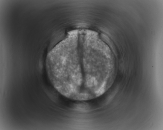 X0000088450215200706191317