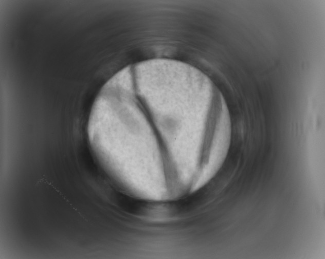 X0000088450218200706191317