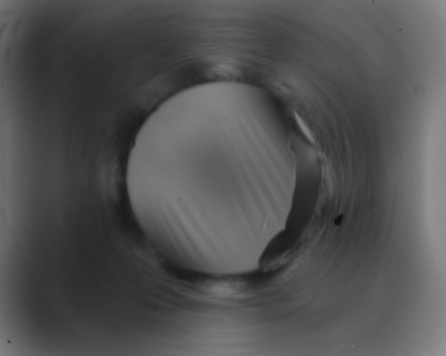 X0000088450223200706191317