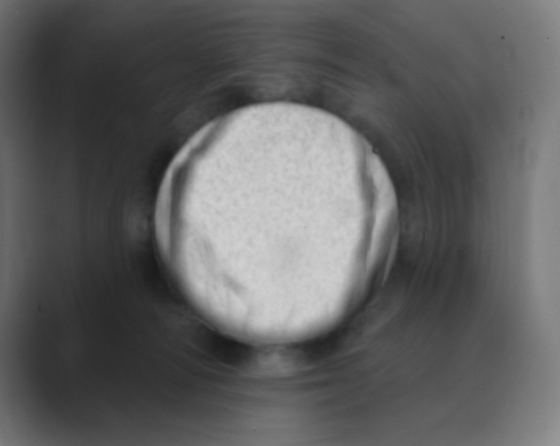 X0000088450226200706191317