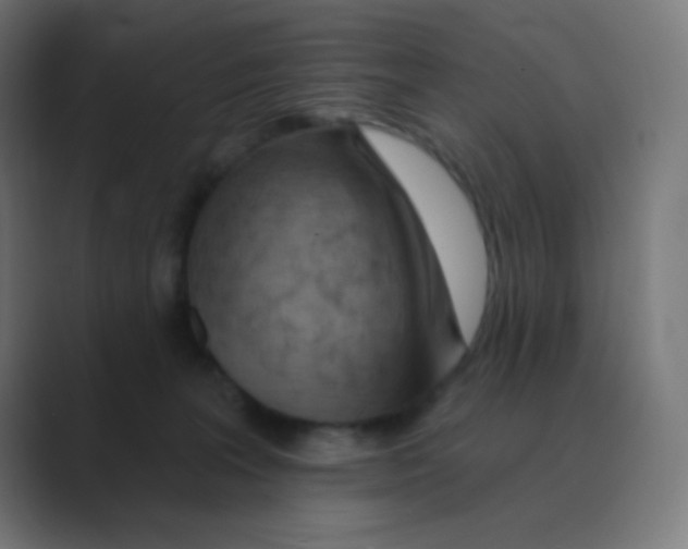 X0000088450227200706191317