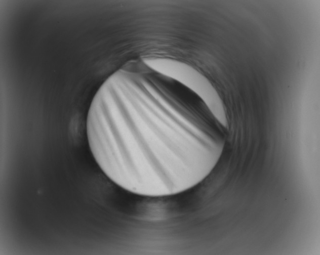 X0000088450228200706191317