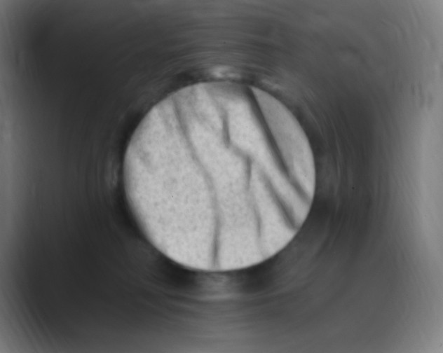 X0000088450230200706191317