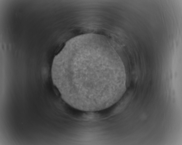 X0000088450231200706191317