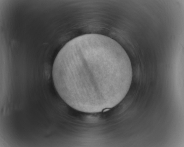 X0000088450232200706191317