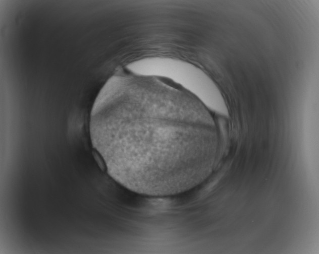 X0000088450233200706191317