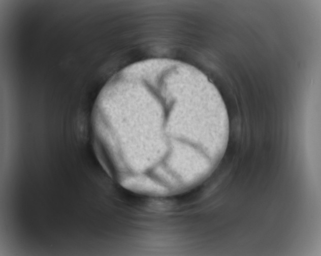 X0000088450234200706191317