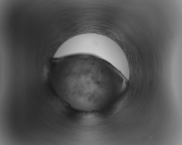X0000088450235200706191317