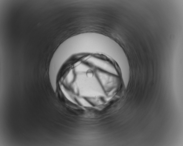 X0000088450237200706191317