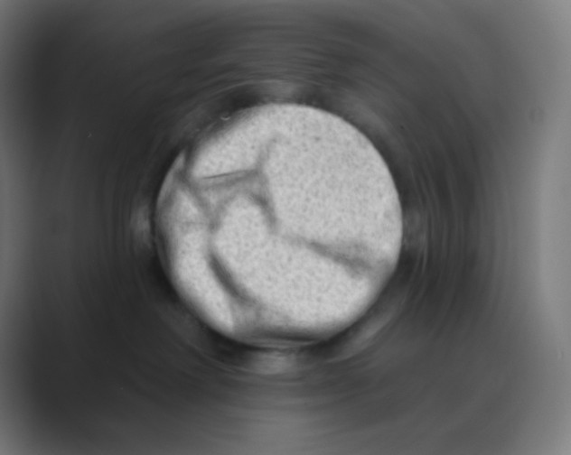 X0000088450238200706191317