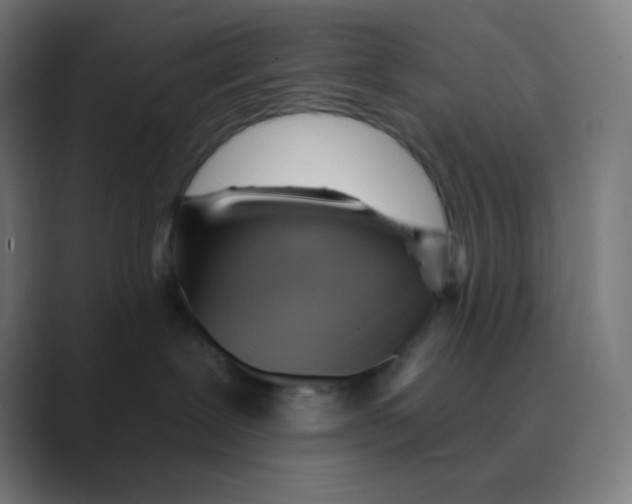 X0000088450239200706191317