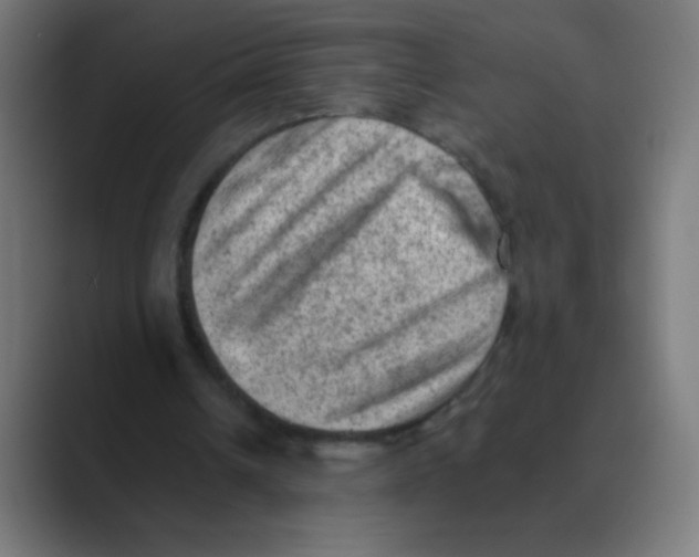 X0000088450242200706191316