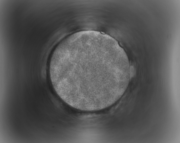 X0000088450243200706191316