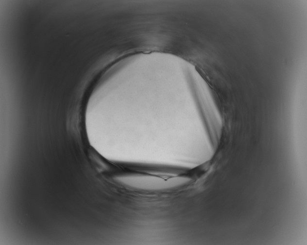 X0000088450244200706191316