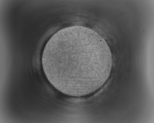 X0000088450245200706191316