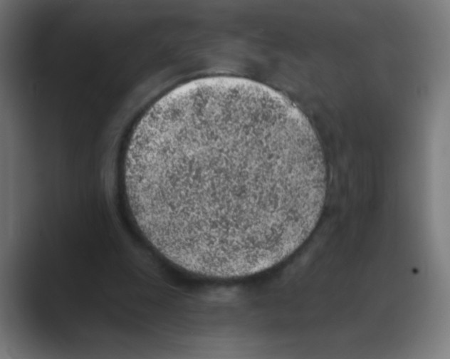 X0000088450247200706191316