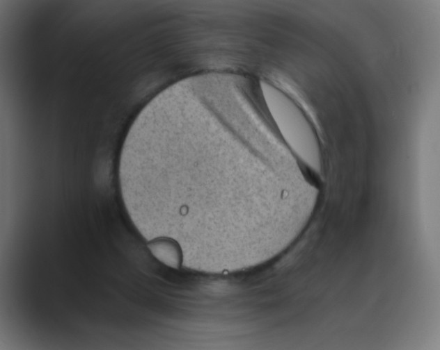 X0000088450249200706191316